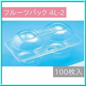 フルーツパック 果物 容器 4L-2 穴あき 100枚セット 嵌合
