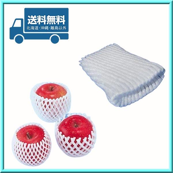 フルーツ キャップ W-11 ダブル 11cm ホワイト 信和 送料無料