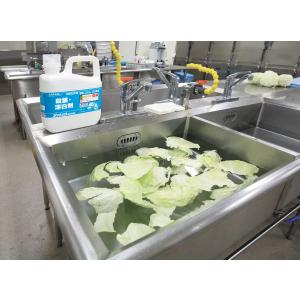 サラヤ 殺菌・漂白剤 ジアノック 5kg 送料...の詳細画像4