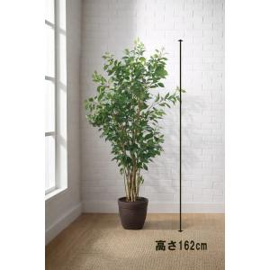 東京地区送料無料 ベンジャミン風 フェイクグリーン H1620 / 約1.6m インテリアグリーン 人工観葉植物