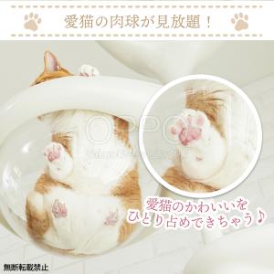 人気商品 キャットタワー 宇宙船 猫 透明 キ...の詳細画像4