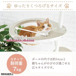 人気商品 キャットタワー 宇宙船 猫 透明 キ...の詳細画像5