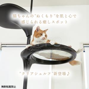 人気商品 キャットタワー ステップ 猫 透明 ...の詳細画像1