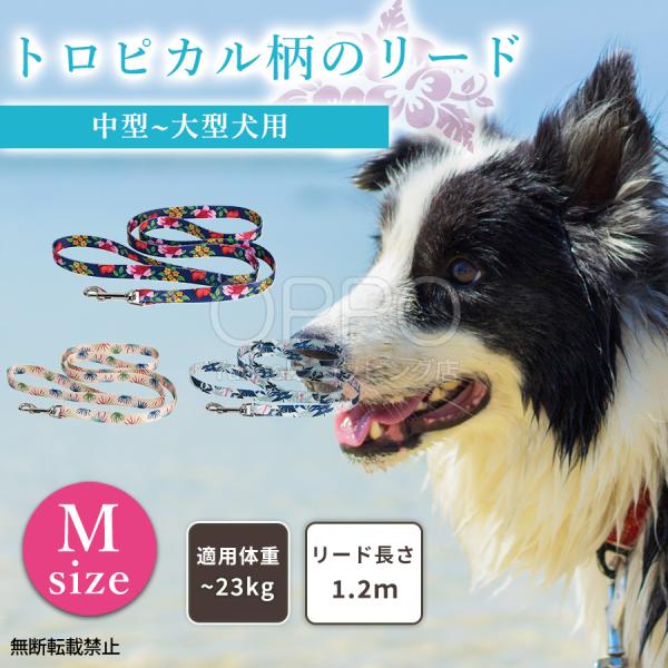 犬 ドッグ リード 引きひも 中型犬 大型犬 1.2m 散歩 軽い おしゃれ かわいい 花柄 ナスカ...