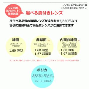 SWANS(スワンズ) GUARDIAN-X ...の詳細画像4