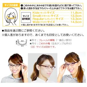 花粉メガネ スカッシースタイル スモール レギ...の詳細画像3