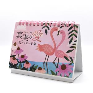 輸入版 『Butterfly Orakel バタフライ オラクルカード』 ドリーン