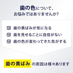 電動歯ブラシ ブラウン オーラルB 公式ストア...の詳細画像4