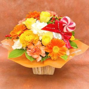 季節の花・バラ ガーベラ カーネーション ヒペ...の詳細画像2