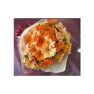 ガーベラ50本の花束 プレゼント ギフト おすすめ Gerbera50 オランダ屋 通販 Yahoo ショッピング
