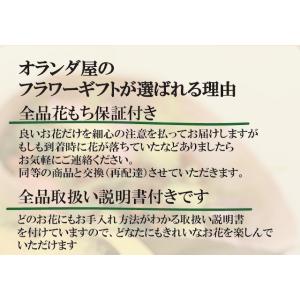 ガーベラ30本とカスミ草のブーケ プレゼントに最適の詳細画像3