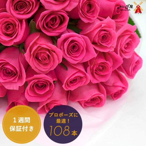 バラ 108本 の花束 カラーが選べる5色 プロポーズ 永久の愛 記念日