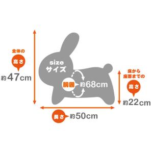 ブルーナボンボン ラビット 専用空気入れ付き ...の詳細画像4