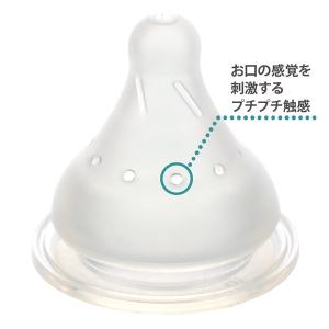 リッチェル はなえみ ガラス哺乳びん 240m...の詳細画像4