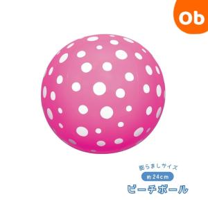 ビーチボールイガラシ　季節玩具　水遊び　ビーチボール　40cm　直径約24cm
