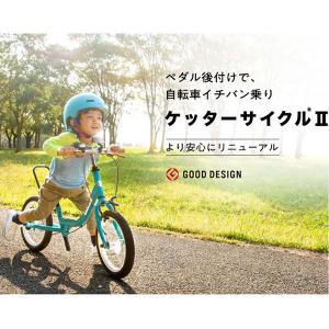 ピープル ケッターサイクルII 12インチ ブ...の詳細画像2