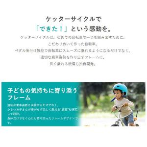 ピープル ケッターサイクルII 12インチ ブ...の詳細画像4