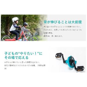 ピープル ケッターサイクルII 12インチ ブ...の詳細画像5