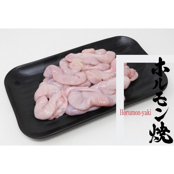 コブクロ 国産豚 500g 送料無料（東北〜中部） 冷凍 焼肉 ホルモン焼