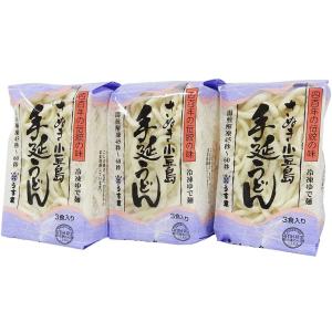 うす家 自家製手延べうどん 220g×9食  冷凍うどん さぬき小豆島 讃岐 うどん 本場 香川