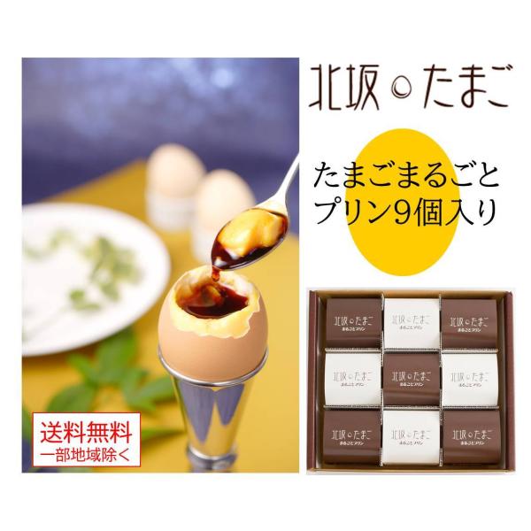 北坂たまご たまごまるごとプリン9個セット 贈答 ギフト 専用化粧箱入り 全包装・のし名入れ可