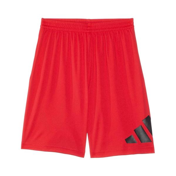アディダス adidas Kids エッセンシャル Big Logo 半ズボン (Toddler/L...