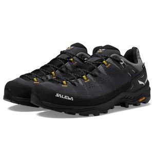 サレワ SALEWA Alp トレーナー 2 ゴアテックス メンズ hiking オニキス/Blac...