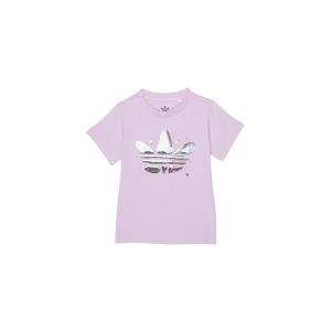 アディダス オリジナルス adidas オリジナルス Kids  グラフィックロゴ Tee (Inf...