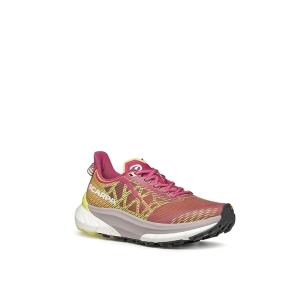 スカルパ Scarpa  Golden Gate ATR 2 レディース スニーカー Velvet Rose/Bright Green｜orange-orange