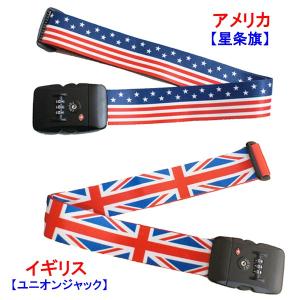 TSAロック付きスーツケースベルトの詳細画像2