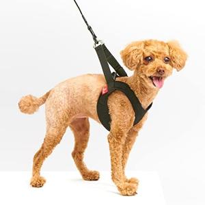 アニフル  アニサポ ハーレスト ブラック XSサイズ 犬 XS サイズ