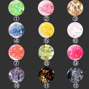 ネイルアート ホログラム 乱切り 容器 入り ...の詳細画像1