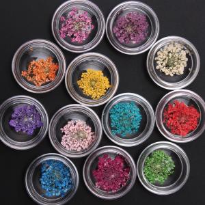 フラワー 押し花 ドライフラワー ネイル 花 ...の詳細画像1