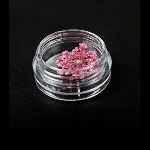 フラワー 押し花 ドライフラワー ネイル 花 ...の詳細画像5