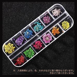 ドライフラワー 押し花 フラワー 12カラー ...の詳細画像3