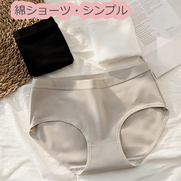 ショーツ レディース 綿 コットン 下着 インナー パンツ ノーマル 無地 20代 30代 40代