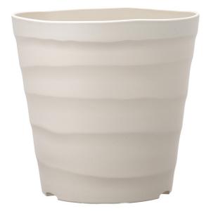 シマトネリコ 大型鉢の商品一覧 通販 Yahoo ショッピング