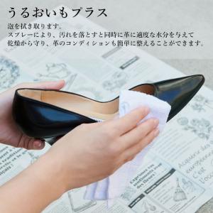 シューケア LAQ2 ラクツ オールイン シュ...の詳細画像3