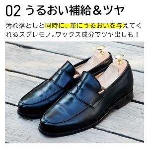 シューケア LAQ2 ラクツ オールイン シュ...の詳細画像4
