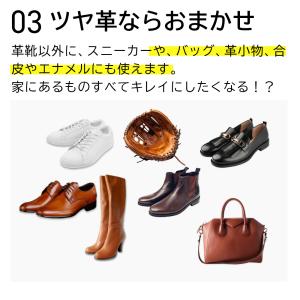 シューケア LAQ2 ラクツ オールイン シュ...の詳細画像5