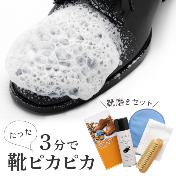 シューケアセット JEWEL お手軽＆簡単 靴磨きセット 4点入り 革靴 革製品 スニーカー