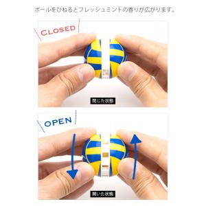 芳香 消臭剤 フレッシュボール 靴 バッグ用 ...の詳細画像4