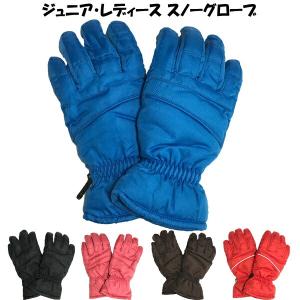 THE NORTH FACE（ザ ノースフェイス） メンズ スキー グローブ Fakie