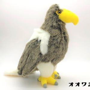 オオワシ ぬいぐるみ 大鷲 高さ約29ｃｍ リアル 猛禽類｜orangenet-1