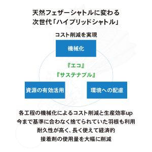 最短発送 3in1 バドミントンシャトル ハイ...の詳細画像2