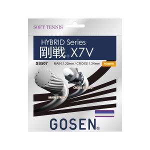GOSEN ゴーセン インターハイ ソフトテニス テニス レア 限定 L ゴーセン インターハイ ソフトテニス テニス GOSEN 限定 大会