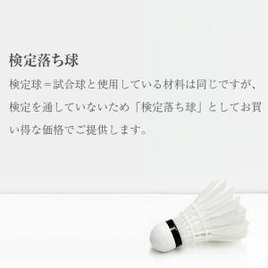 最短出荷 当店一押し バドミントン シャトル ...の詳細画像1