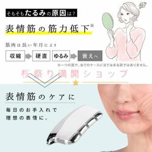 美顔器 EMS リフトアップ効果 振動 かっさ...の詳細画像3