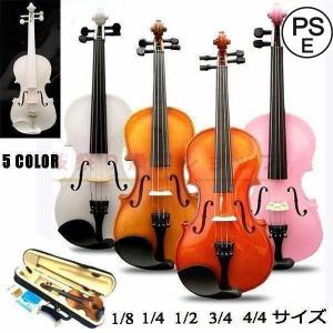 Hallstatt ハルシュタット バイオリン V-28 1/4サイズ : 楽器店