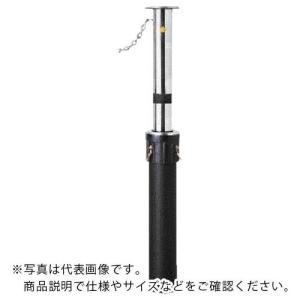 メドーマルク ステンレス製ポールタイプ(上下式) ポール径114.3×t2.5×H700mm ( J-11CNTG ) (メーカー取寄)｜orangetool